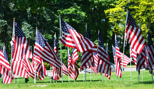 Drapeaux Des Usa Sur Prairie — Photo