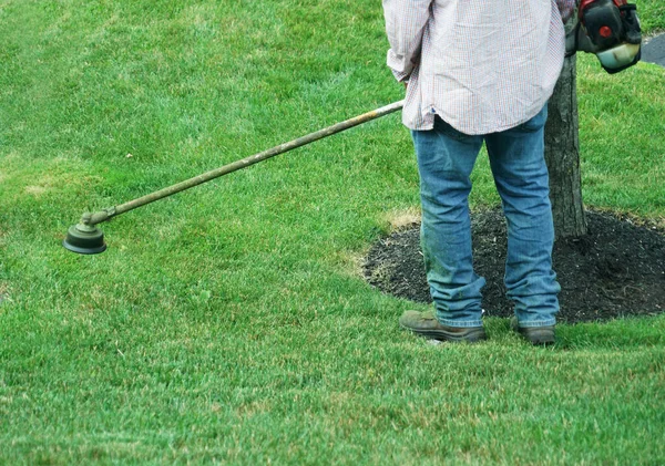 Bahçıvan Çimenleri Budamaya Çalışıyor — Stok fotoğraf