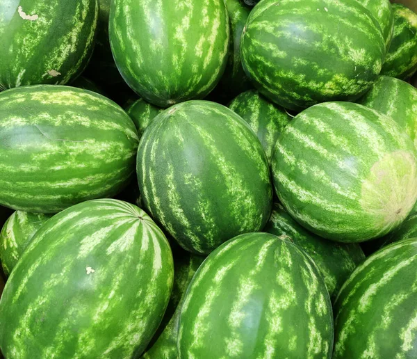 Haufen Frischer Wassermelonen Der Erntezeit — Stockfoto