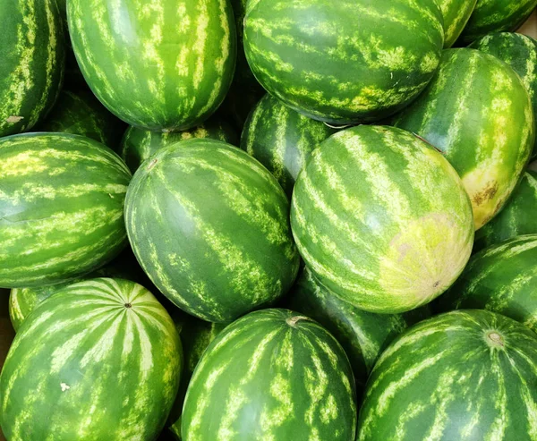 Haufen Frischer Wassermelonen Der Erntezeit — Stockfoto