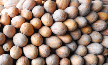 Hasat mevsiminde çiftlikteki kabak yığınına yakın durun.