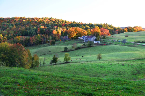 Paisaje Otoño Tierras Cultivo Con Bosques Luz Del Atardecer — Foto de Stock