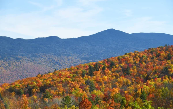 Bosque Montaña Otoño Con Árboles Coloridos — Foto de Stock