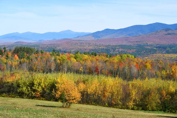 Outono Floresta Montanha Colorida Pasto — Fotografia de Stock