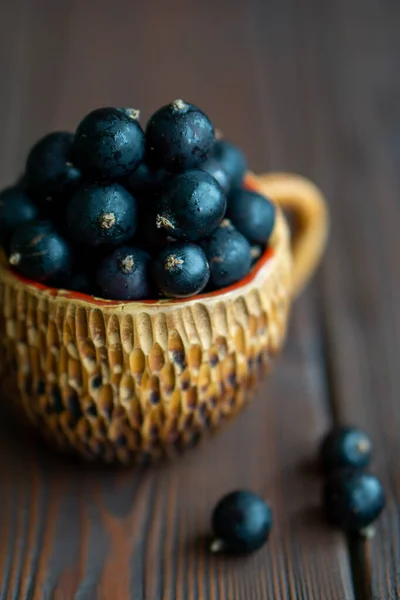 Fresh Black Currant Bowl — Stock Photo, Image