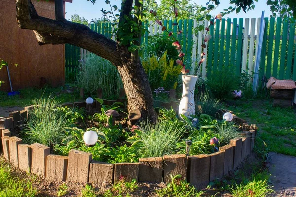 Ortasında ağaç olan güzel bir bahçe.