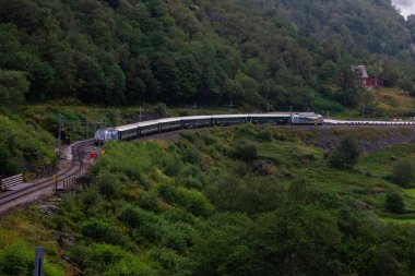 Norveç 'teki Flam şehrinden Myrdal istasyonuna giden tren yolu. İstasyona gelen bir tren uzaktan görülebilir.