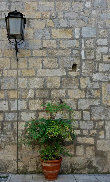 Wall with a street lamp turned off and a brown pot with a green plant