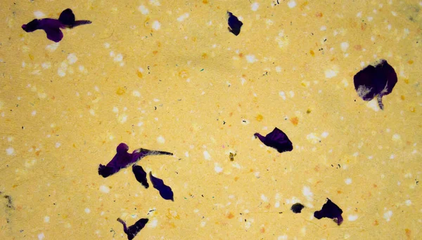 metin arkaplanı, geri dönüştürülmüş kağıt, çevre dostu kağıt, metin için boşluk