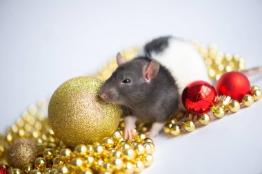 Yeni yıl kartı. 2020 yılının sembolü. Beyaz arka planda altın ve kırmızı süslemeli bir fare.