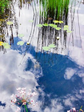 Gökyüzünün göldeki sudaki yansıması.