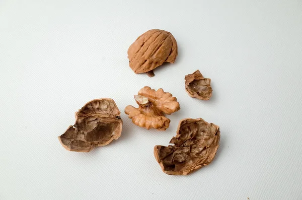 Macro Photo Peeled Walnut — Stock Photo, Image