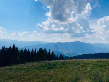 Yazın dağ manzarası. Dağlara giden yol. Ağaçlar ve mavi gökyüzü ile dağlarda sonbahar manzarası. Dağlardaki çam ormanı