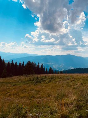 Yazın dağ manzarası. Dağlara giden yol. Ağaçlar ve mavi gökyüzü ile dağlarda sonbahar manzarası. Dağlardaki çam ormanı
