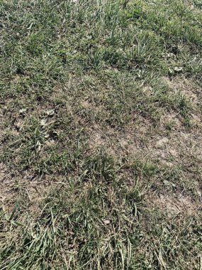 Küçük gri taşlar yerdedirler. Yol