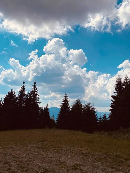Yazın Dağ Manzarası Dağlara Giden Yol Ağaçlar Mavi Gökyüzü Ile — Stok fotoğraf