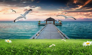 3B çiçek, kelebek gökyüzü ve çiçek tuğla duvar arka plan home