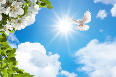 3B çiçek, kelebek gökyüzü ve çiçek tuğla duvar arka plan home