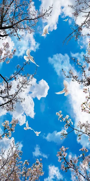 3B çiçek, kelebek gökyüzü ve çiçek tuğla duvar arka plan home