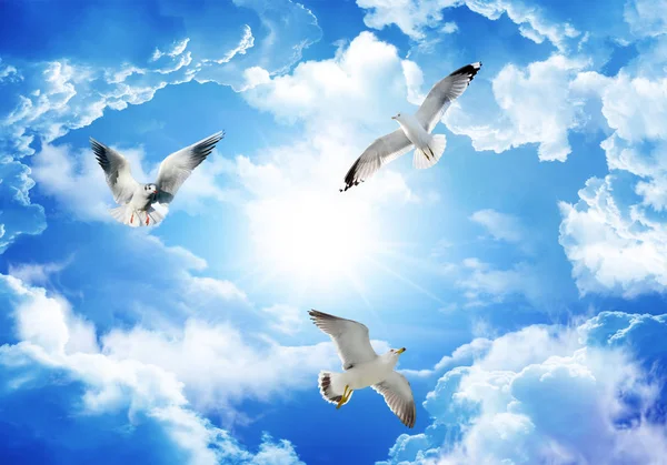 bulutlar gökyüzü ve çiçek veya uçan kuş tavan