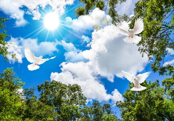 Clouds Sky Flower Flying Bird Ceiling — Stock Photo, Image