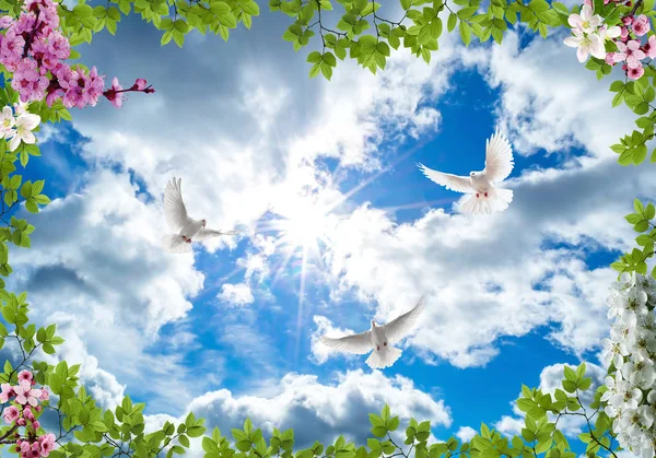 bulutlar gökyüzü ve çiçek veya uçan kuş tavan