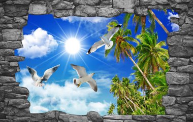 gökyüzü ve çiçek veya güvercin tavan