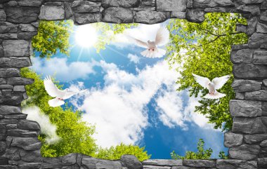 gökyüzü ve çiçek veya güvercin tavan