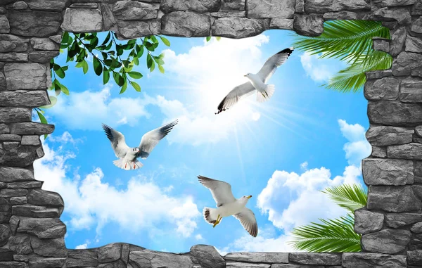 gökyüzü ve çiçek veya güvercin tavan