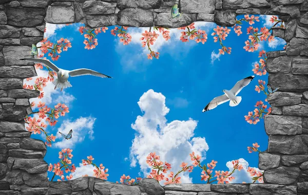 องฟ ดอกไม อเพดานนกพ ราบ — ภาพถ่ายสต็อก