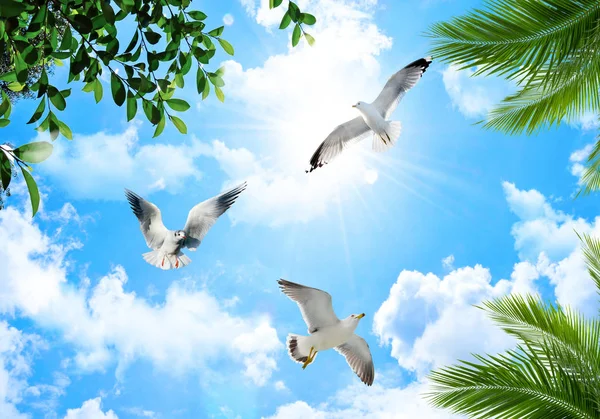 gökyüzü ve çiçek veya güvercin tavan