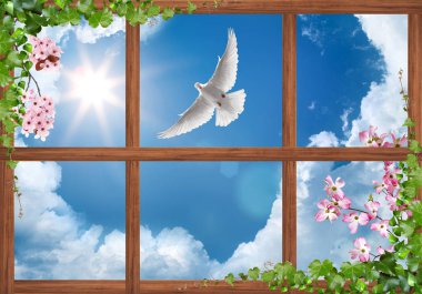 gökyüzü ve çiçek veya güvercin tavan