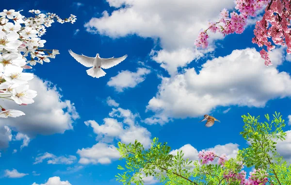 sky and flower or pigeon ceiling