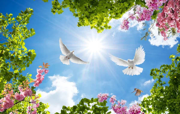 gökyüzü ve çiçek veya güvercin tavan