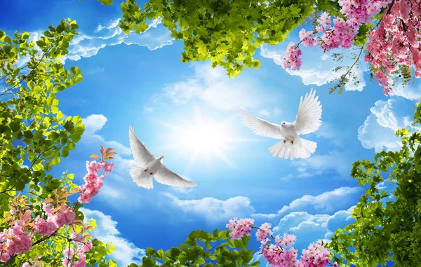 gökyüzü ve çiçek veya güvercin tavan