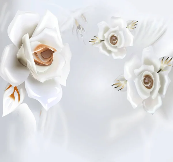 ดอกไม องฟ และพ นหล งผน านดอกไม — ภาพถ่ายสต็อก