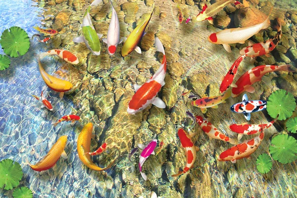 3D Duvar Kağıdı İnanılmaz Tasarım 