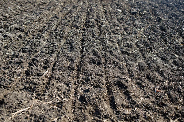 Вспаханное Поле Черной Почвы Осенью После Уборки — стоковое фото
