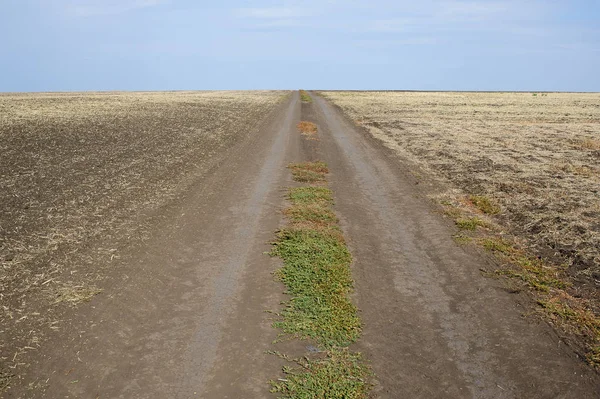 hasat tan sonra sonbahar tarlası, yoldan görünümü