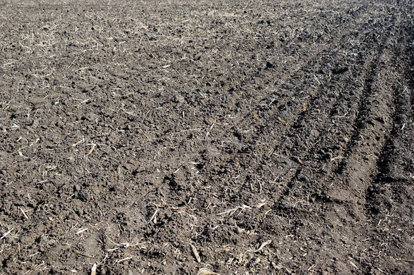 Plowed Field Black Soil Autumn Harvesting Stock Image