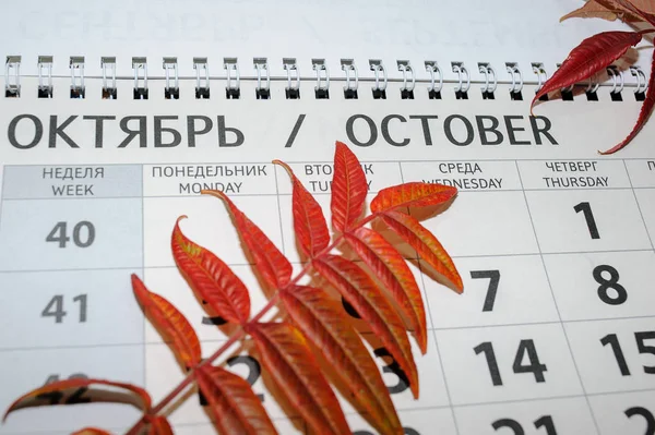 Hojas Otoño Color Naranja Fondo Mes Calendario Desmontable Octubre —  Fotos de Stock