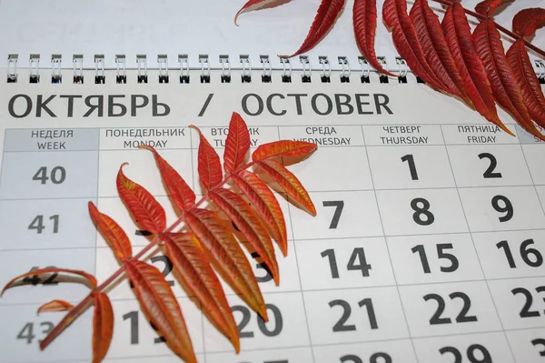 Orange Herbstblätter Auf Dem Hintergrund Eines Abnehmbaren Kalendermonats Oktober — Stockfoto