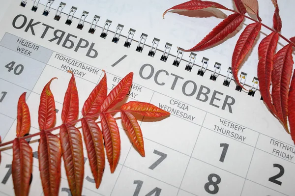 Oranžové Podzimní Listy Pozadí Oddělitelného Kalendářního Měsíce Říjen — Stock fotografie