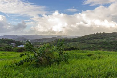 Barbados 'ta sabahın erken saatlerinde