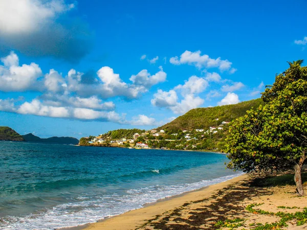 Bequia Scénický Ostrov Karibiku — Stock fotografie