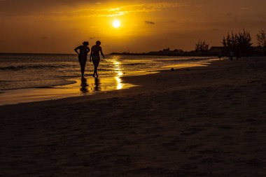 Barbados 'ta bir sahilde sakin bir yürüyüş.