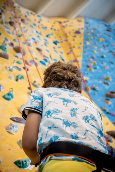 Genç çocuk bir yapay tırmanma üst için önde gelen bir ip izlerken closeup duvar, kişisel gelişim ve kariyer büyüme veya kavramı destenizi