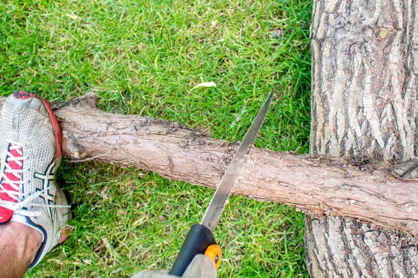 Arbeit im Garten, ein Mann sägt einen Holzklumpen — Stockfoto