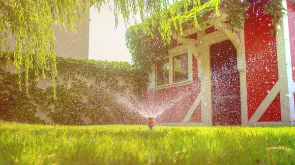 Working in garden, watering plants with garden hose — Stock Photo, Image