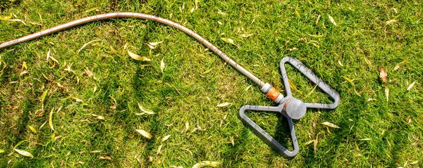 Trabalhando no jardim, regando plantas com mangueira de jardim — Fotografia de Stock